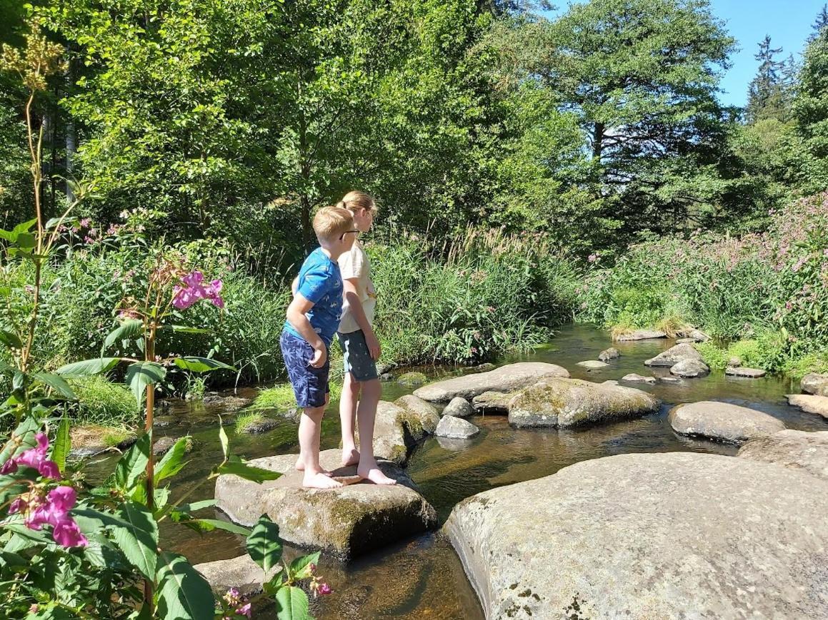 Glamping-Paradies Am Dengler Hof Hohenberg an der Eger Luaran gambar
