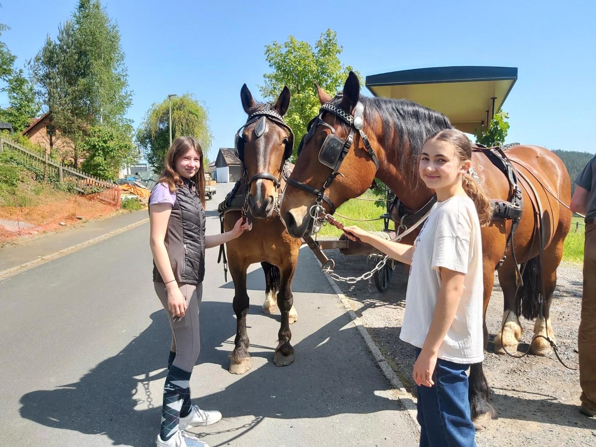 Glamping-Paradies Am Dengler Hof Hohenberg an der Eger Luaran gambar